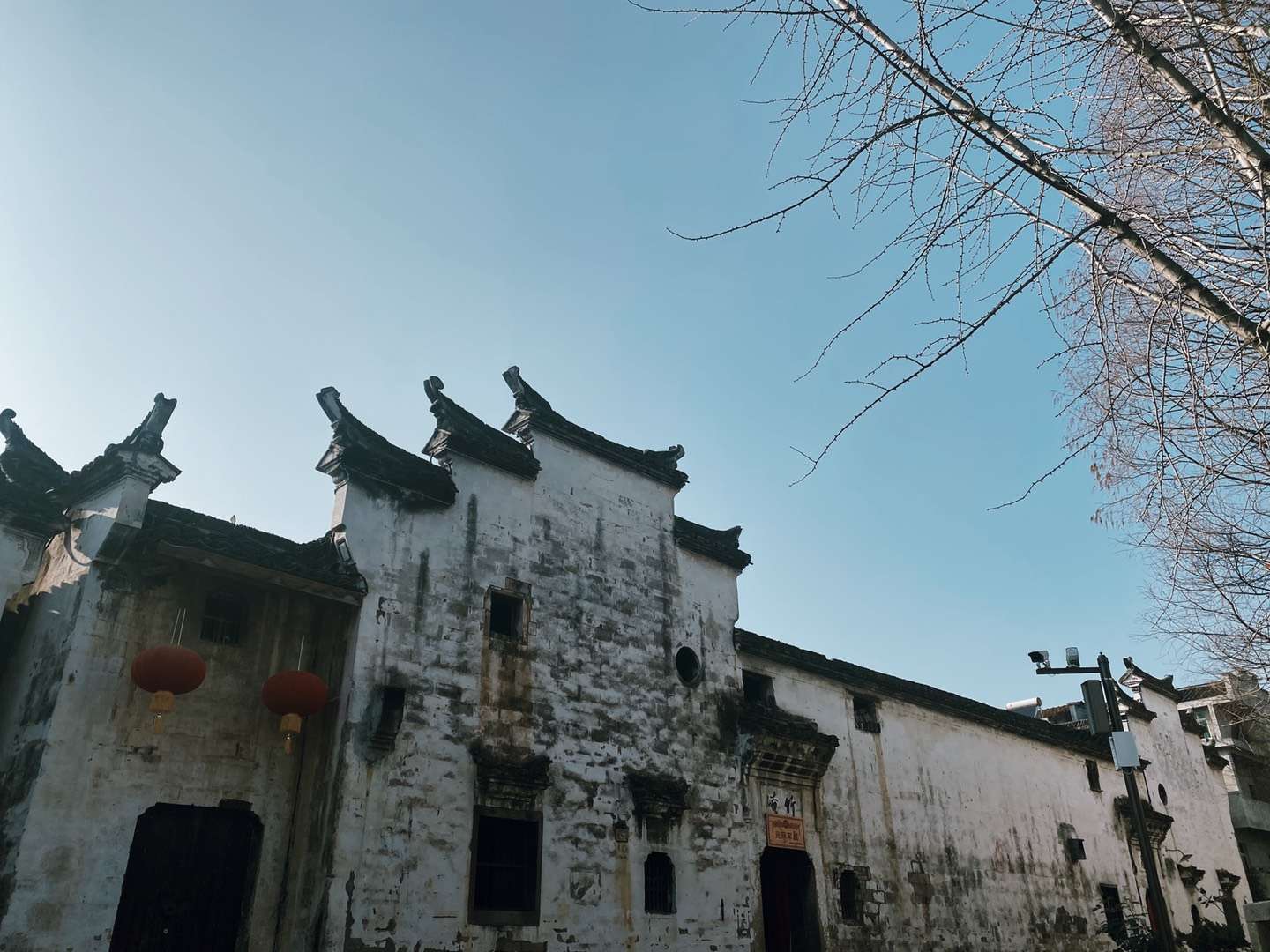 911952031.jpg 魔域鼠-19.jpg