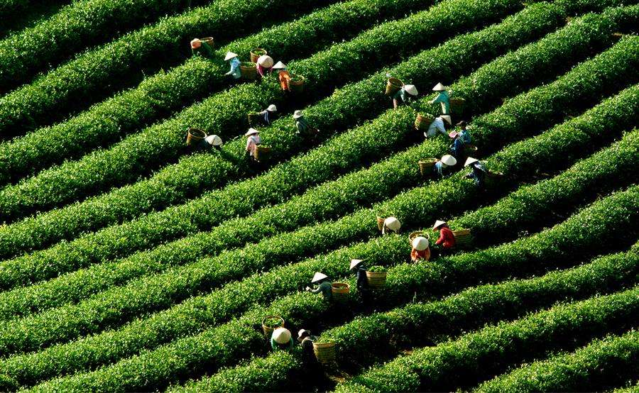 271848160.jpg 1.jpg